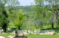 Villa il Nido, Chianti, Tuscany - holiday rental home just 30K from Florence. Large private parklands and a splendid new swimming pool.