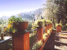 Lucca, Tuscany - vacation apartments at Villa Lucchesina