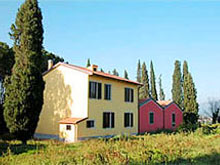 Farm estate in the hills of Vinci, not far from Florence, Italy