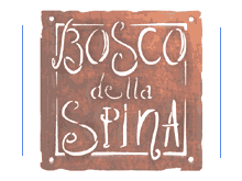 Italy - holiday rental accommodation - vacation apartments south of Siena, Tuscany.