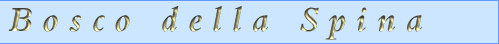 Italy - holiday rental accommodation - vacation apartments south of Siena, Tuscany.
