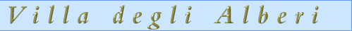 Villa degli Alberi - www.rentinginitaly.com - Italian Villa, Farmhouse and Apartment Rentals